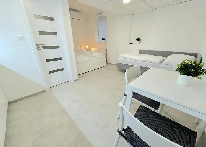 Krasny - 1 V Srdci Centra Appartement